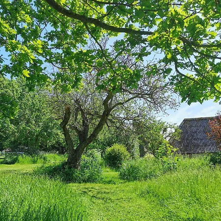 Historic Farmhouse In Beautiful Nature And Near The Coast * Fjaellebroen