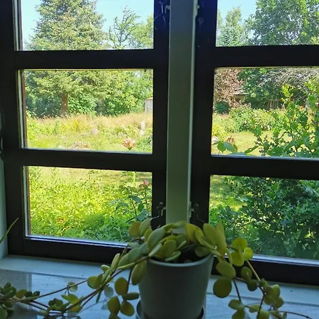 Historic Farmhouse In Beautiful Nature And Near The Coast *